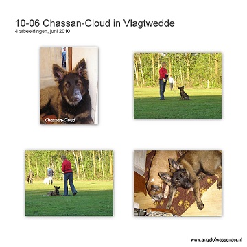 Chassan-Clous in Vlagtwedde